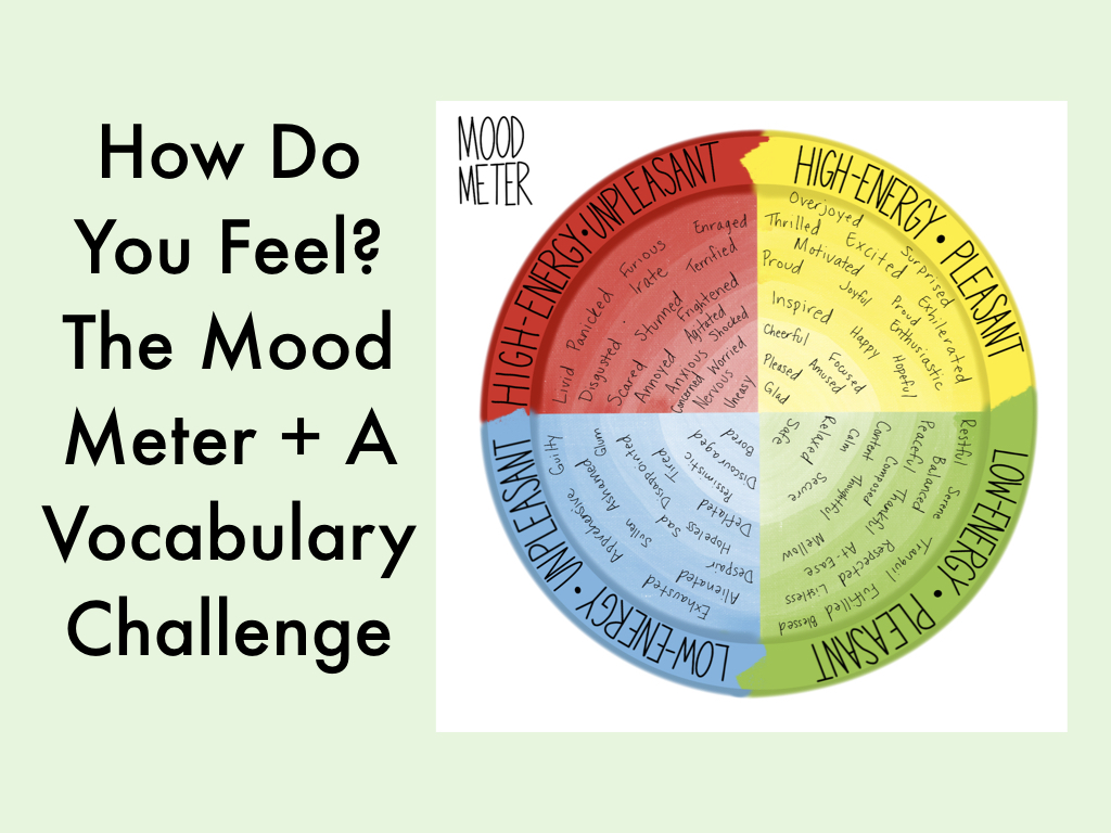 how-do-you-feel-the-mood-meter-a-vocabulary-challenge-teacher-in-exile