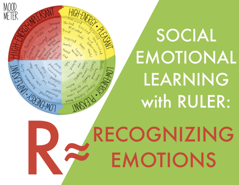 recognizing-emotions-using-the-mood-meter-for-social-emotional